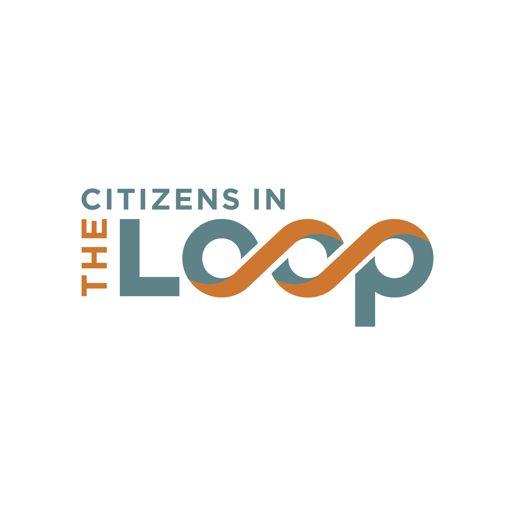 Citizens in the Loop